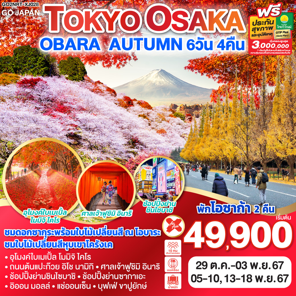 GO2NRT-XJ028 TOKYO OSAKA OBARA AUTUMN 6D 4N โดยสายการบินไทยแอร์เอเชีย เอ็กซ์ [XJ]