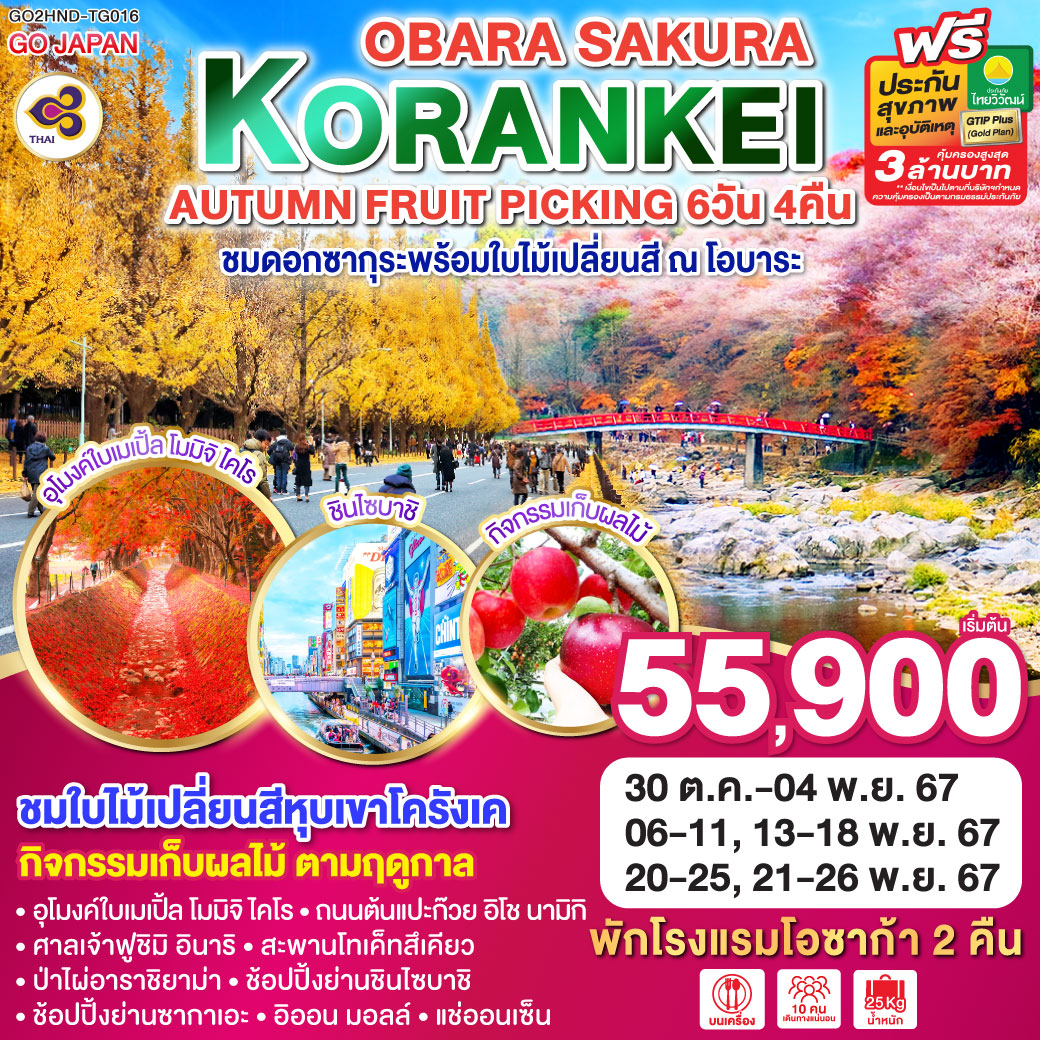 GO2HND-TG016 KORANKEI OBARA SAKURA & AUTUMN FRUIT PICKING 6D 4N โดยสายการบินไทย [TG]