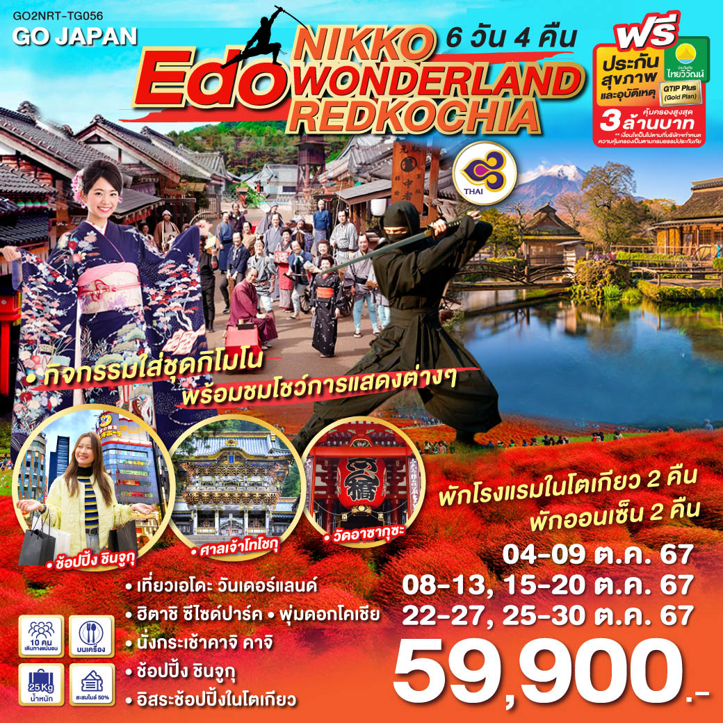 GO2NRT-TG056 NIKKO EDO WONDERLAND REDKOCHIA 6D 4N โดยสายการบินไทย [TG]