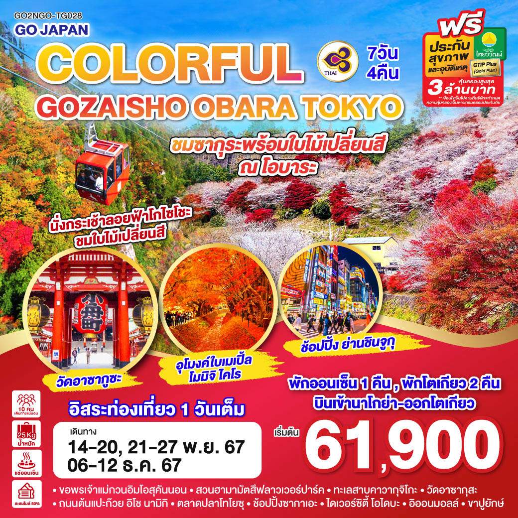 GO2NGO-TG028 COLORFUL GOZAISHO KORANKEI TOKYO 7D 4N โดยสายการบินไทย [TG]