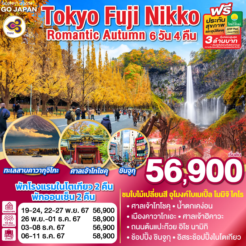 GO2NRT-TG054 TOKYO FUJI NIKKO ROMANTIC AUTUMN 6D 4N โดยสายการบินไทย [TG]