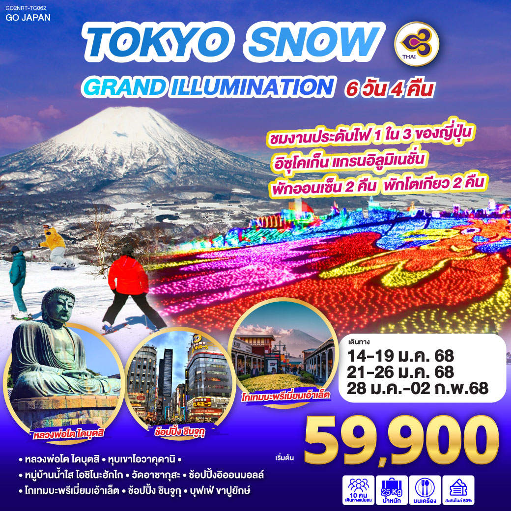 GO2NRT-TG062 TOKYO SNOW GRAND ILLUMINATION 6D 4N โดยสายการบินไทย [TG]