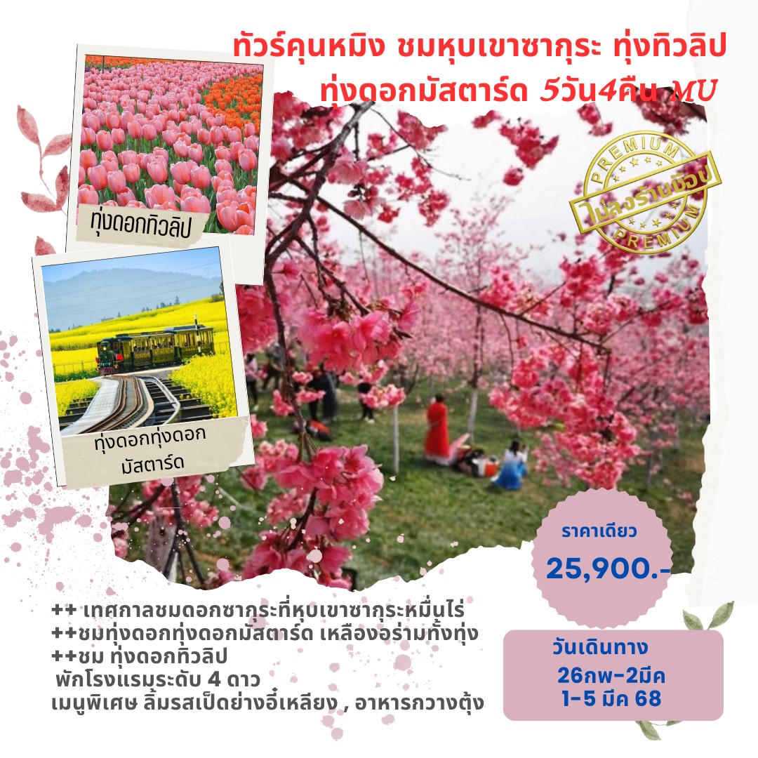 ทัวร์จีน คุนหมิง - อี๋เหลียง  - โหลวผิง   ชมหุบเขาซากุระ 5วัน 4คืน (MU)