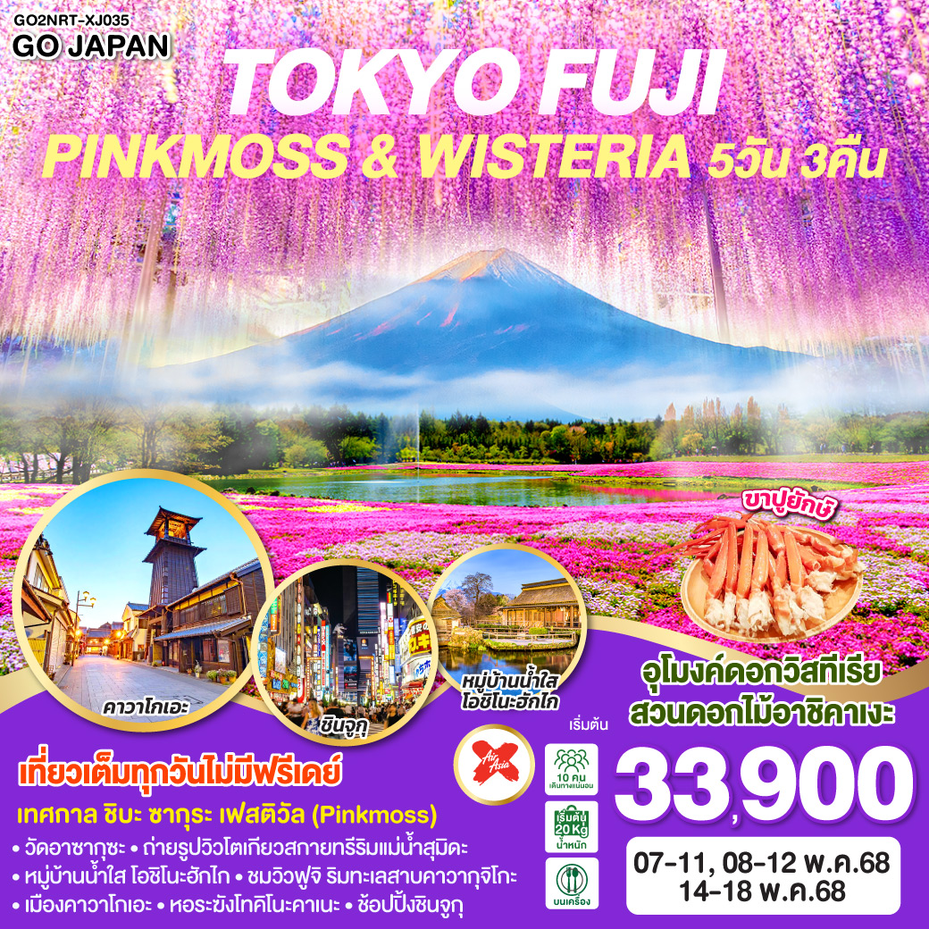 ทัวร์ญี่ปุ่น TOKYO FUJI PINKMOSS & WISTERIA 5วัน 3คืน (XJ)