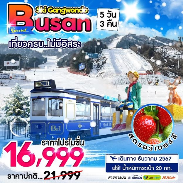 ทัวร์เกาหลี Gangwon Busan Ski Resort 5วัน 3คืน (BX)